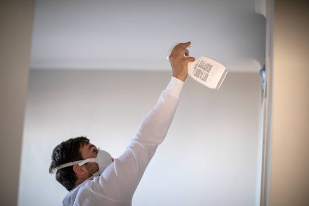Professional Mold Remediation in Walterboro, SC