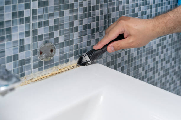 Best Health and Safety Mold Remediation in Walterboro, SC
